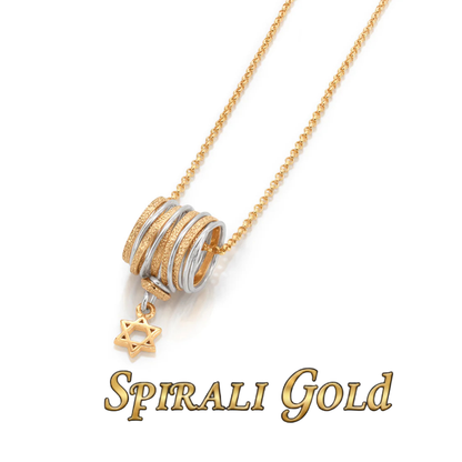 Solid Gold &amp; Silver Star of David Spiral Necklace