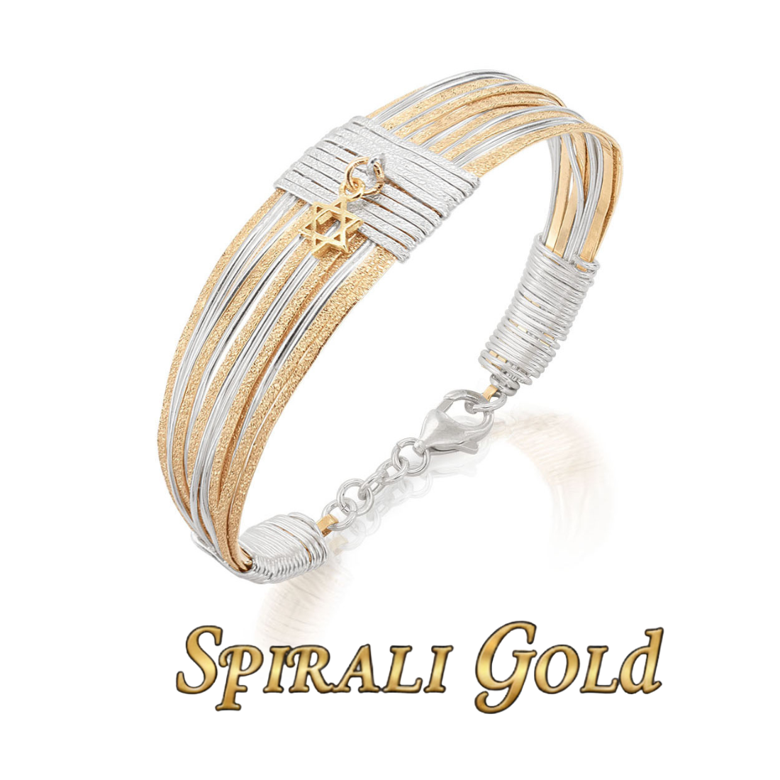 Solid Gold &amp; Silver Star of David Spiral Bracelet
